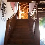 Platanera Icod De Los Vinos