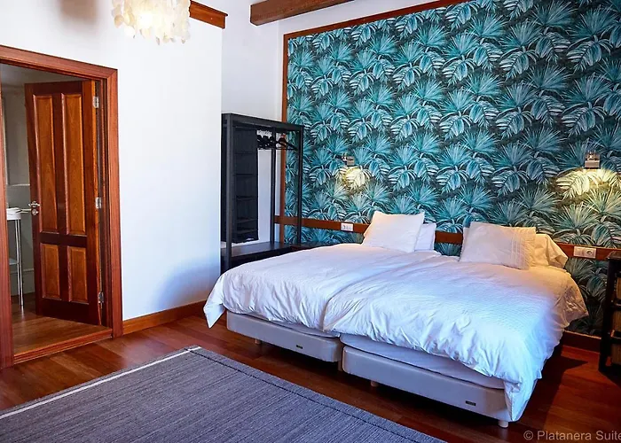 Platanera イコー・デ・ロス・ビノス