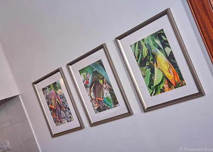 Platanera イコー・デ・ロス・ビノス