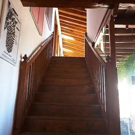 Platanera Icod De Los Vinos