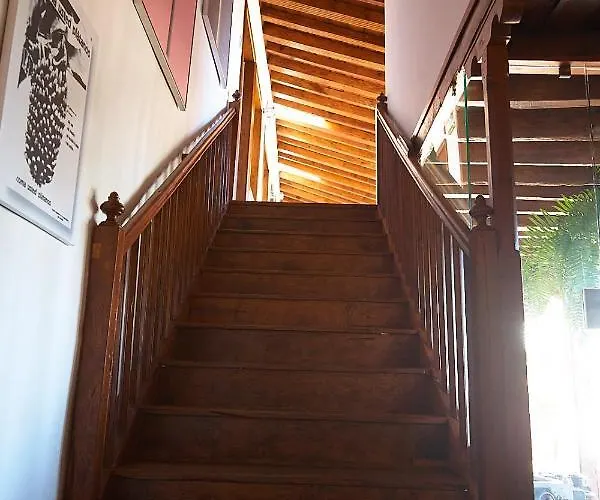 Platanera Icod De Los Vinos